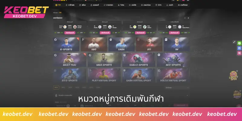 หมวดหมู่การเดิมพันกีฬา